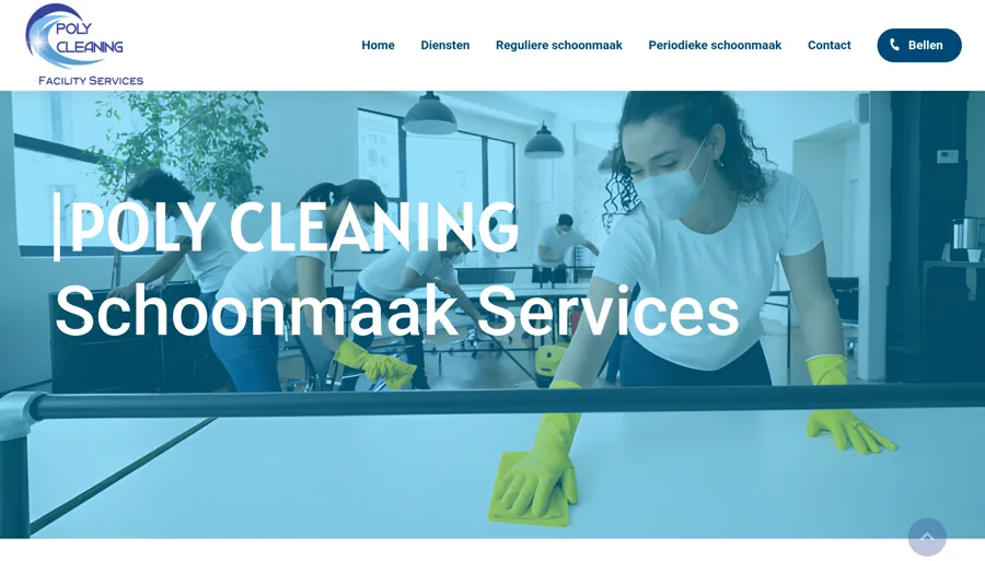 Poly Cleaning website